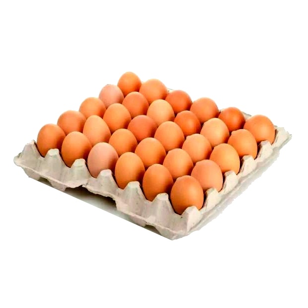 HUEVOS CARTON 