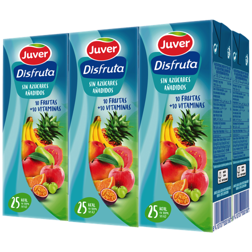 JUGO DISFRUTA 10F 10V 200ML  