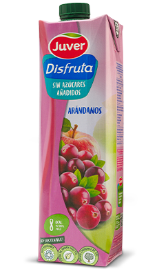 JUGO DISFRUTA ARANDANOS 1L JUVER