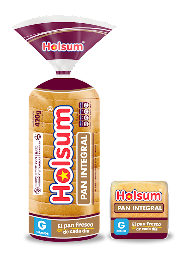 PAN INTEGRAL HOLSUM 420GR