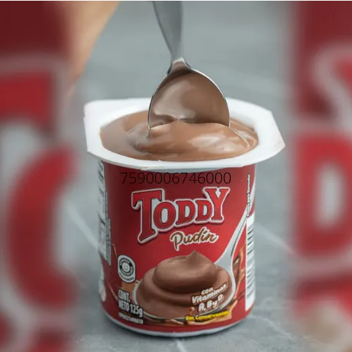 PUDIN DE TODDY 125G